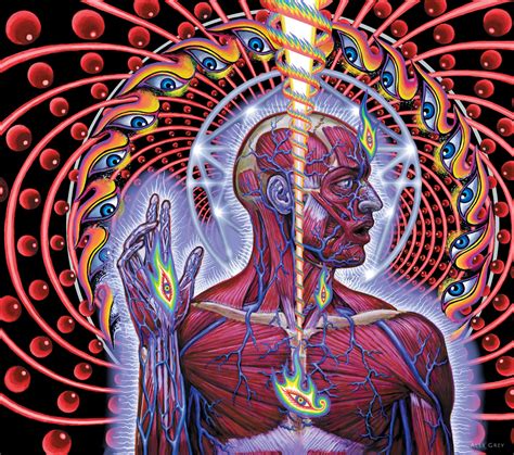 alex grey artwork|alex grey body.